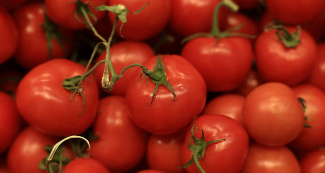 domates yiyenler icin acil uyari 16 ulkede yuzlerce kisi etkilendi CncLWrRl