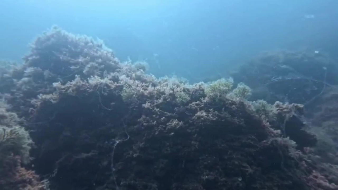 kabus geri dondu uzman isim uyardi acilen harekete gecilmeli ZezHFfeA
