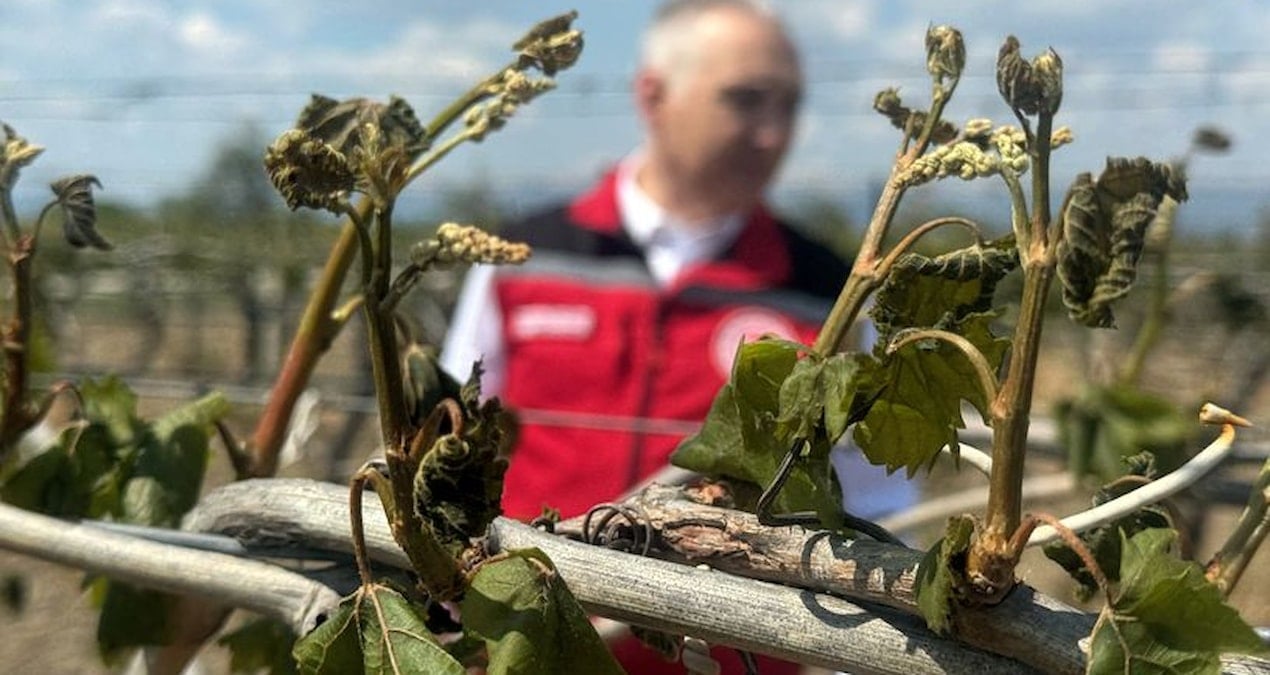 zirai dondan etkilenen ciftcilere destek odemesi yapilacak eEUiMlWW