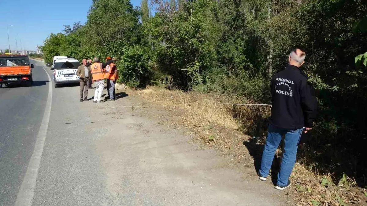 malatyada otomobil kayisi bahcesine uctu 1 yarali 2ic86j9N.jpg