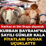 Kurban Bayramı’na Yaklaşırken Fiyatlar Yükselmeye Devam Ediyor: Karkas Et 1000 TL’yi Aştı