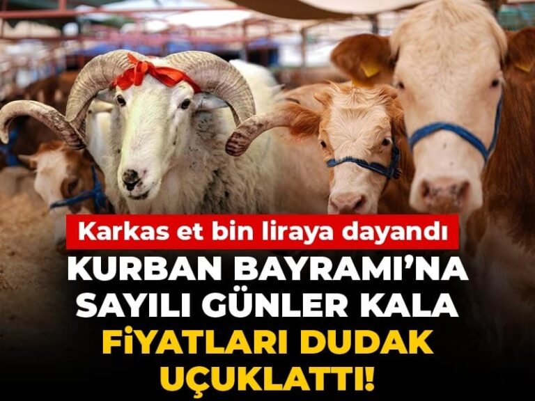 kurban-bayramina-sayili-gunler-kala-fiyatlari-dudak-ucuklatti-karkas-et-bin-liraya-dayandi-kNuduSsL