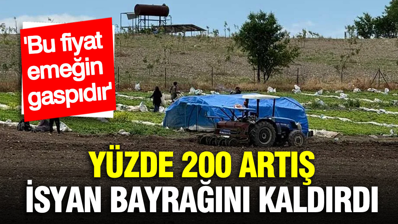 Adıyaman Tütün Üreticilerinin Fiyat Protestosu: “Bu Ücret Emeğimize İhanet”