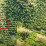 Giresun’da Kamyonetin 400 Metrelik Takla Atışı Korkuttu! Anlar Kamera ile Kaydedildi