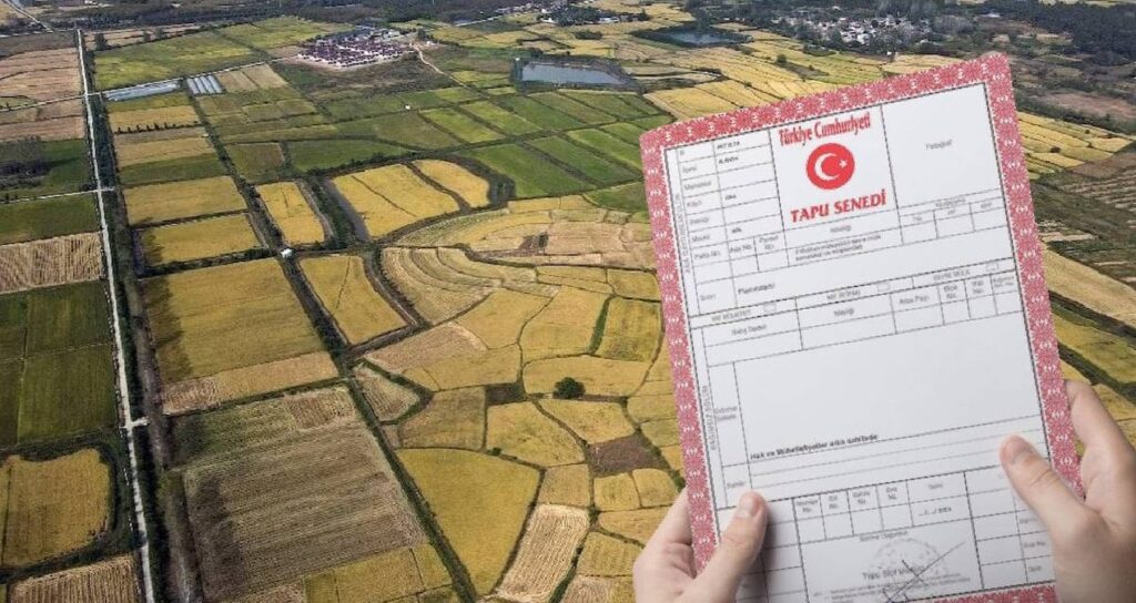 Gözden Uzak O Arsalar, Geleceğin Yatırım Fırsatlarıyla Dolu