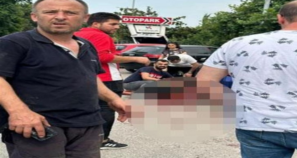İşverenini Öldürüp Milyonluk Varlıklarla Kaçan Muhasebeci Hakkında Karar Verildi