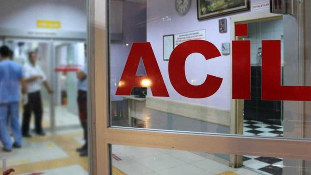 Tokat’ta Kamyon ve Otomobil Çarpıştı: 2 Yaralı
