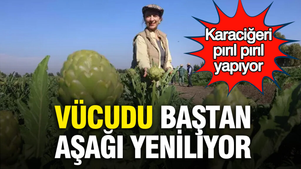 Enginarın Şifalı Gücü: Karaciğer Yenileyici Özellikleriyle Baharın Gözdesi